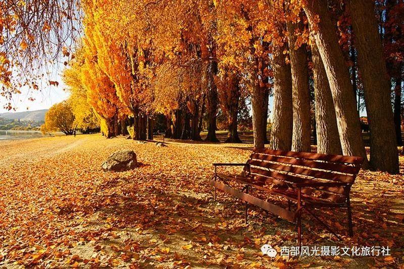 蓝黛科技:第五届第四次董事会会议于2024年01月21日召开